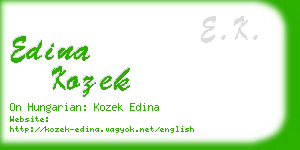edina kozek business card
